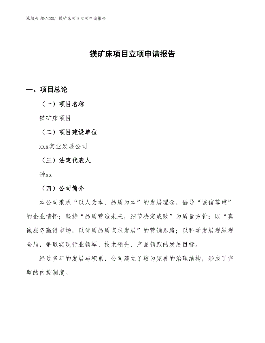 （案例）镁矿床项目立项申请报告_第1页