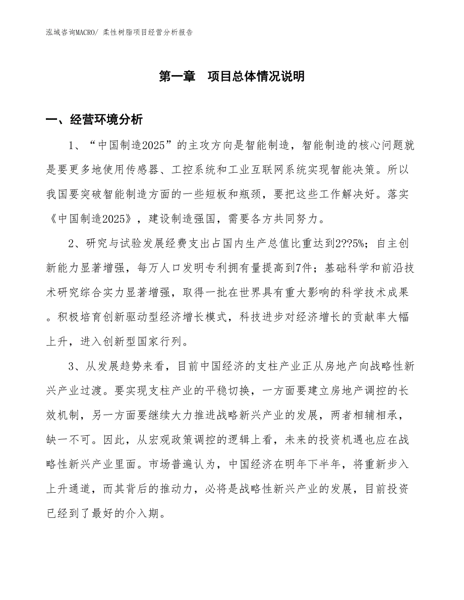 （案例）柔性树脂项目经营分析报告_第1页