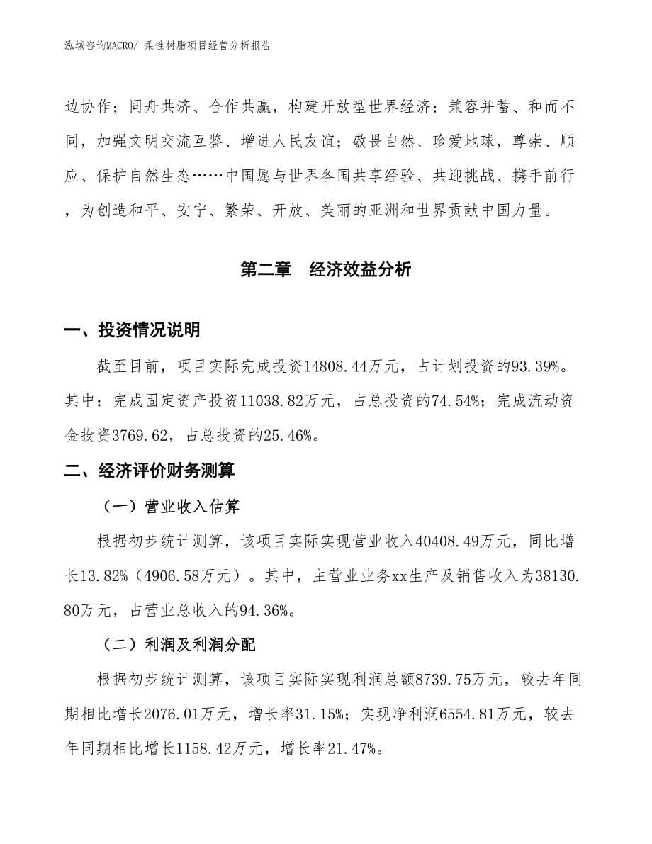 （案例）柔性树脂项目经营分析报告_第5页