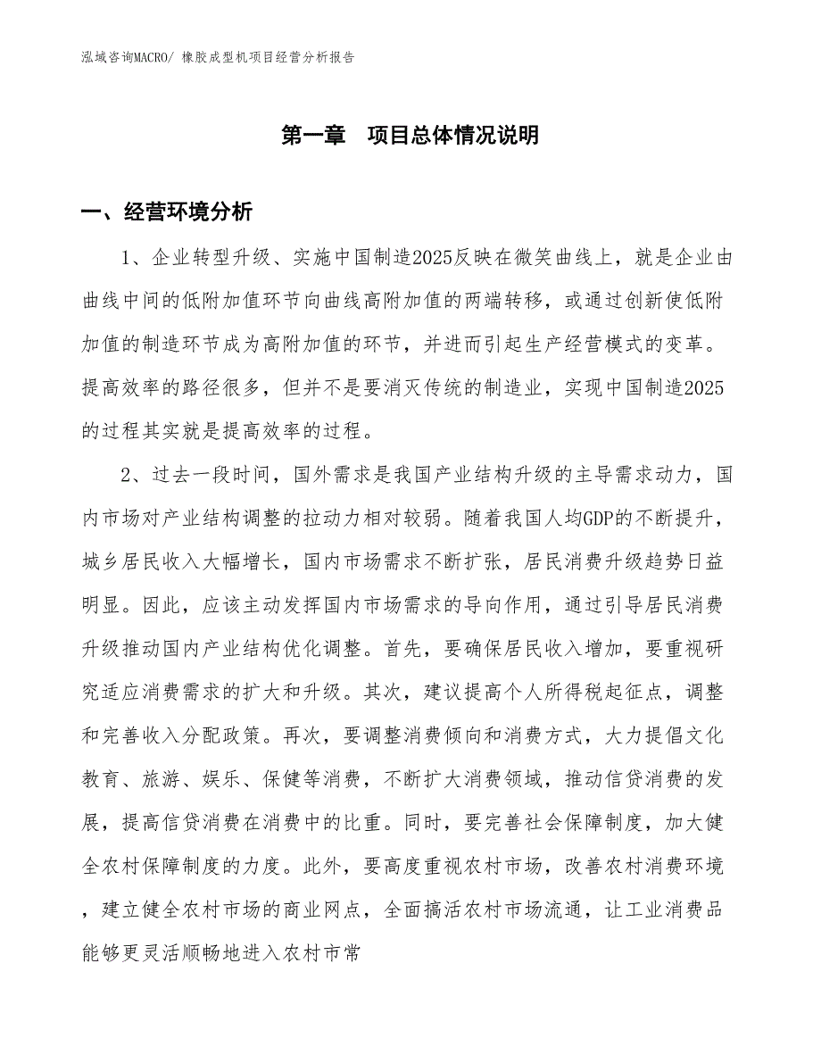 （案例）橡胶成型机项目经营分析报告_第1页