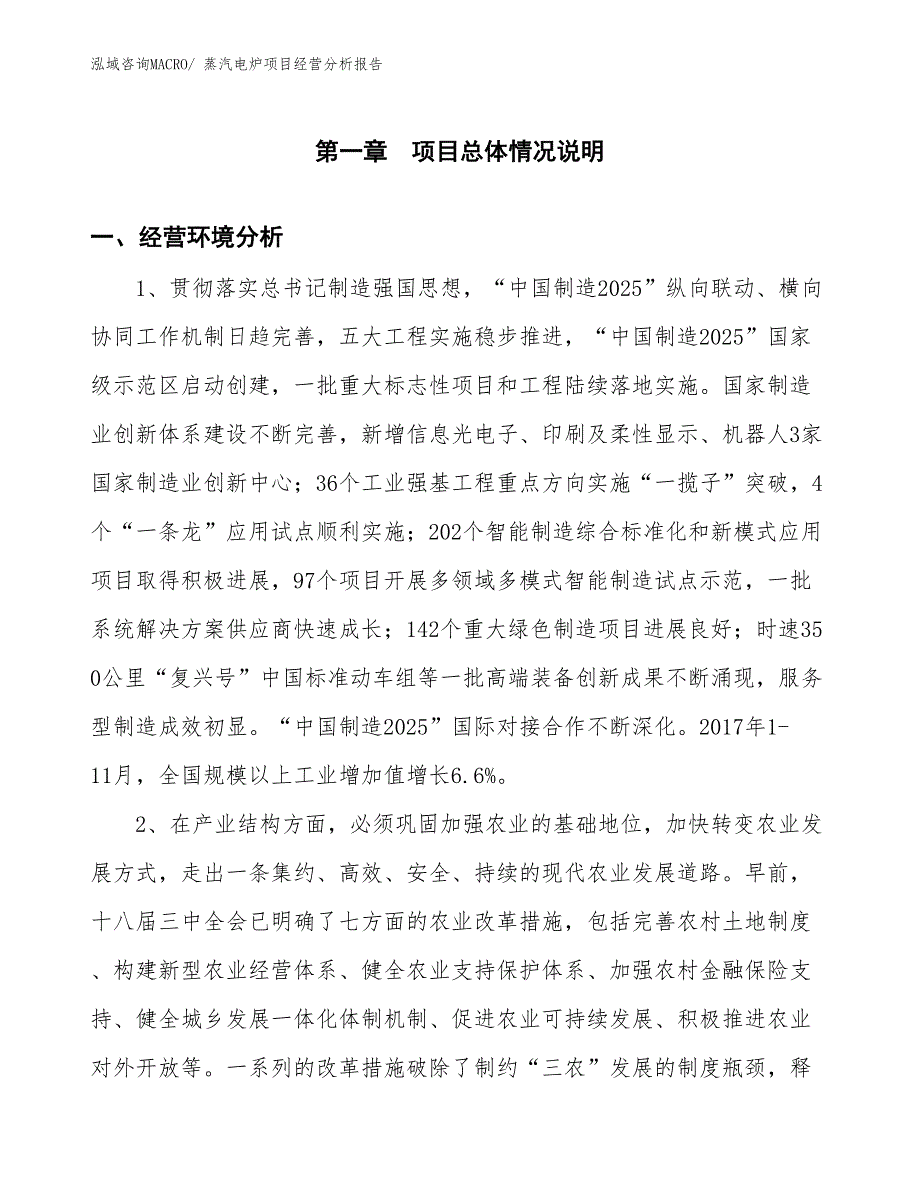 （案例）蒸汽电炉项目经营分析报告_第1页