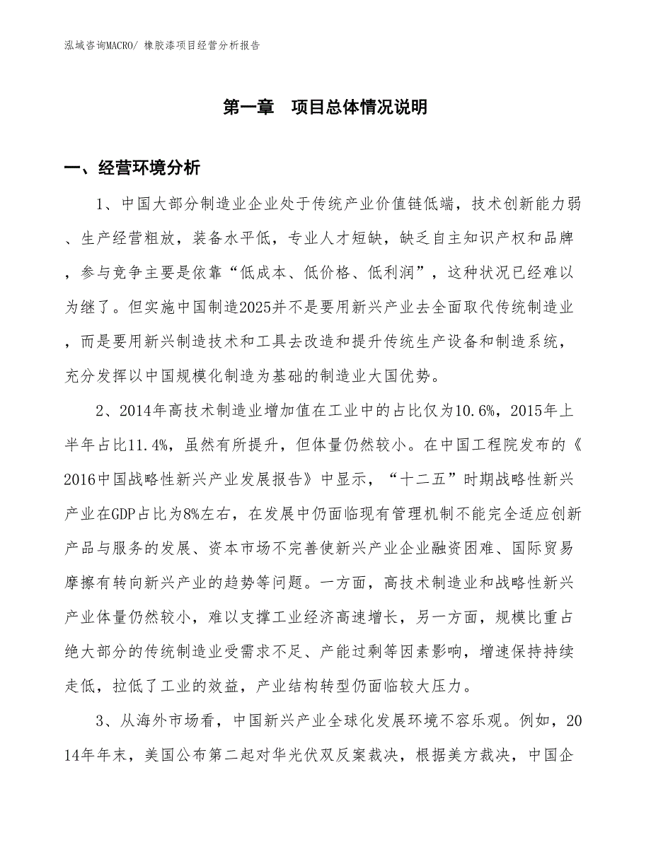 （案例）橡胶漆项目经营分析报告_第1页