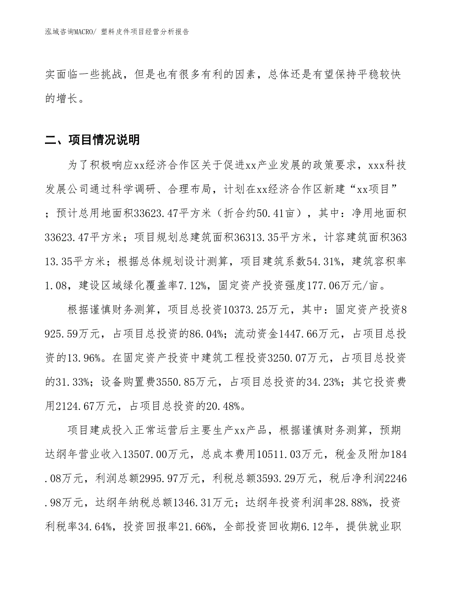 （案例）塑料皮件项目经营分析报告_第2页