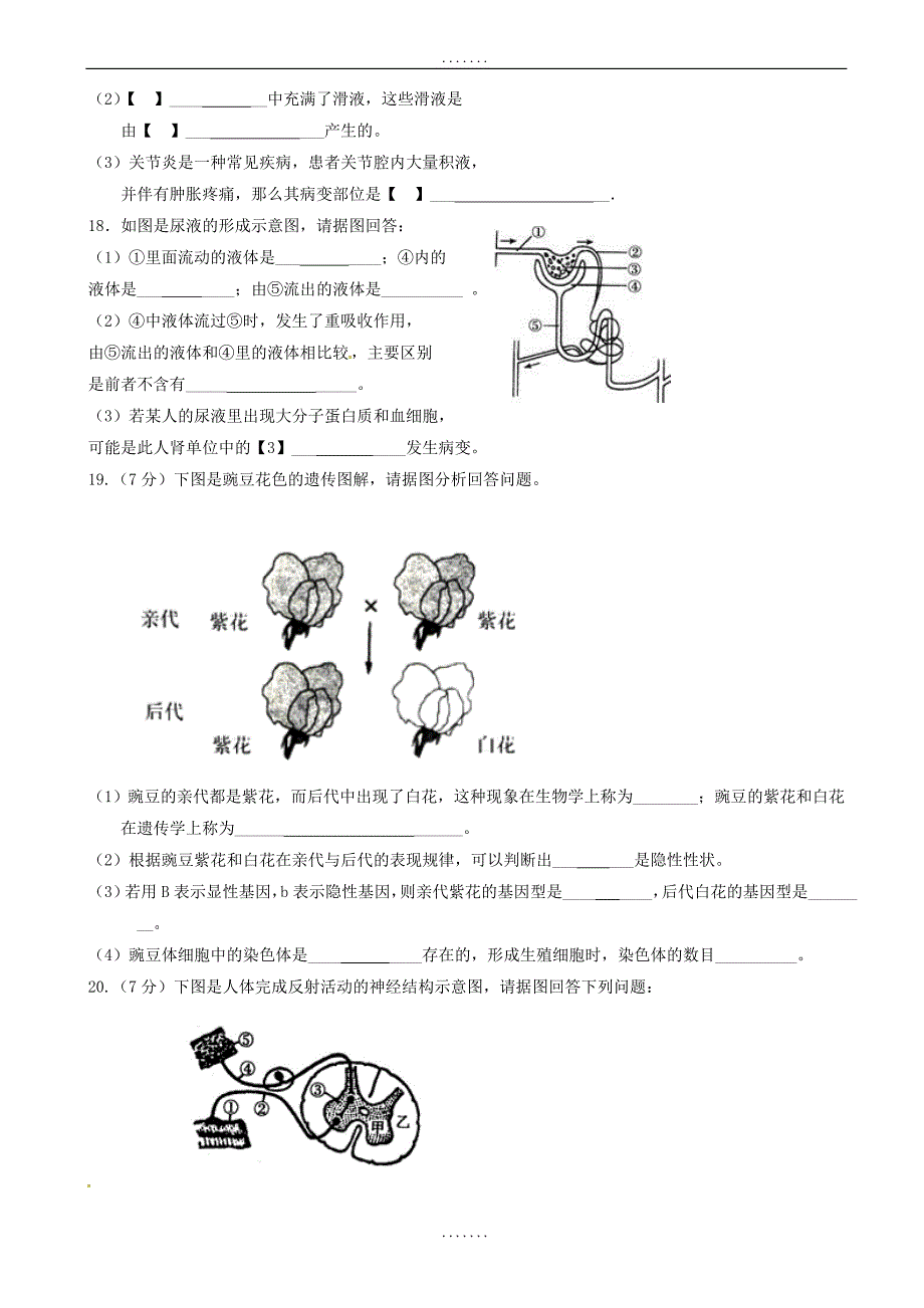 辽宁省大石桥市2018-2019学年八年级生物下学期期中试题新人教版（有答案）_第3页