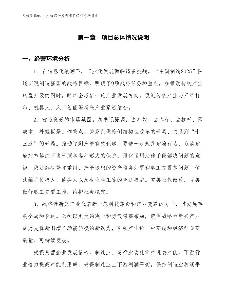 （案例）液压叶片泵项目经营分析报告_第1页