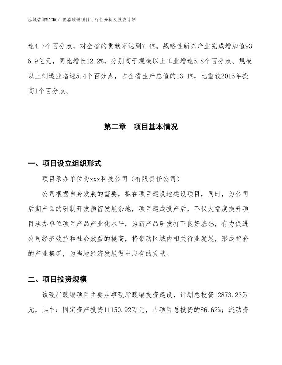 硬脂酸镉项目可行性分析及投资计划_第5页