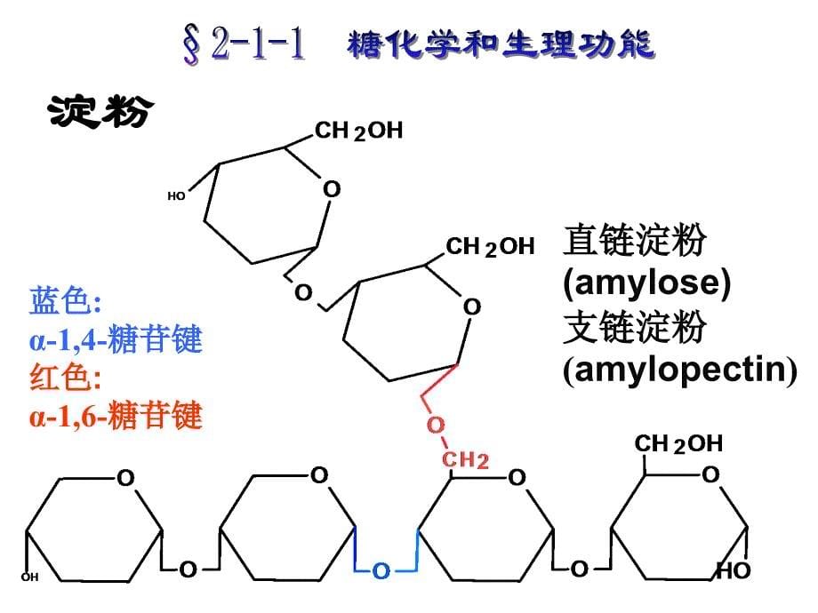 正常人体功能单元2-1糖代谢_第5页