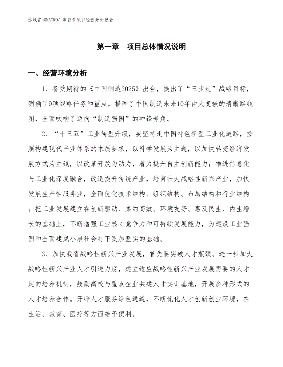 （案例）车裁泵项目经营分析报告_第1页