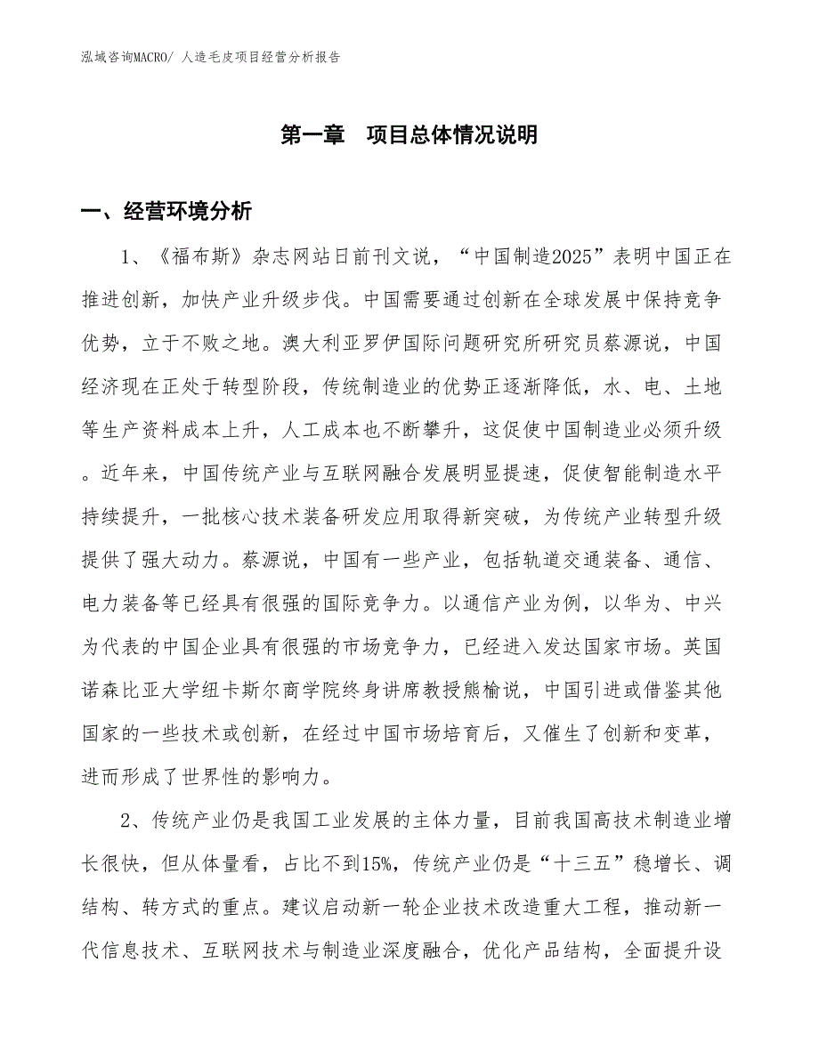 （案例）人造毛皮项目经营分析报告_第1页