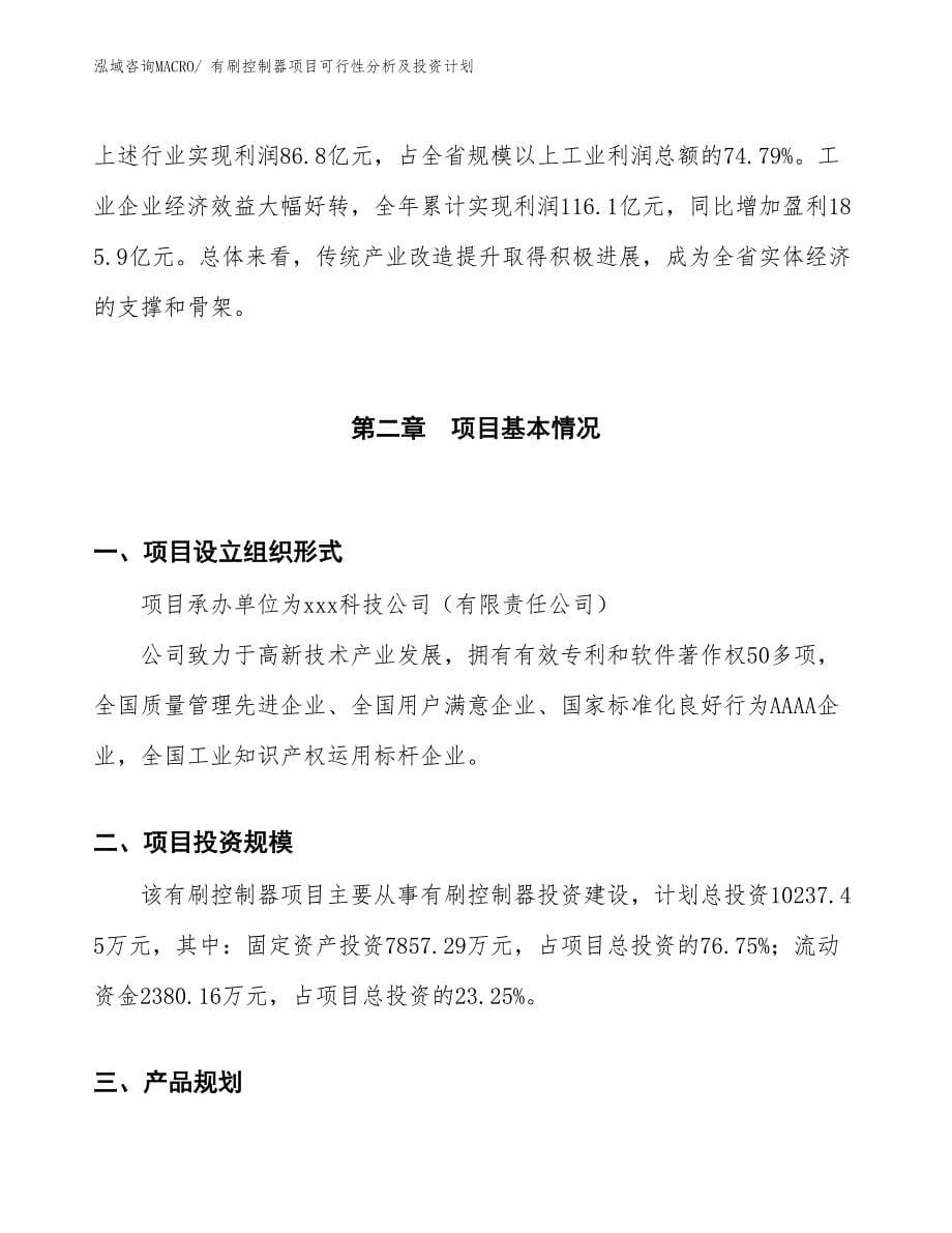 有刷控制器项目可行性分析及投资计划_第5页