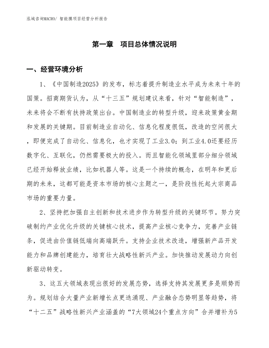 智能膜项目经营分析报告_第1页