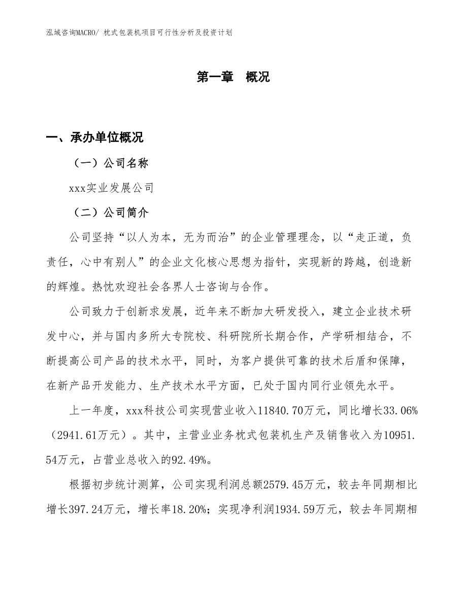 枕式包装机项目可行性分析及投资计划 (1)_第1页