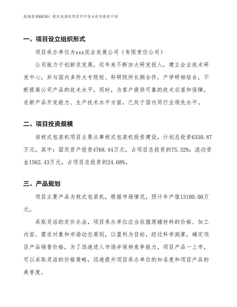 枕式包装机项目可行性分析及投资计划 (1)_第5页