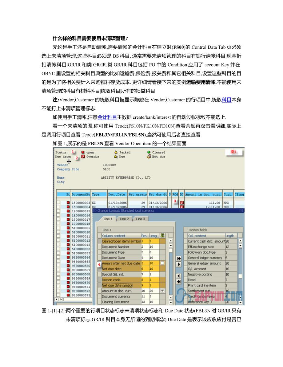 戏说一下SAP的清帐.docx_第2页