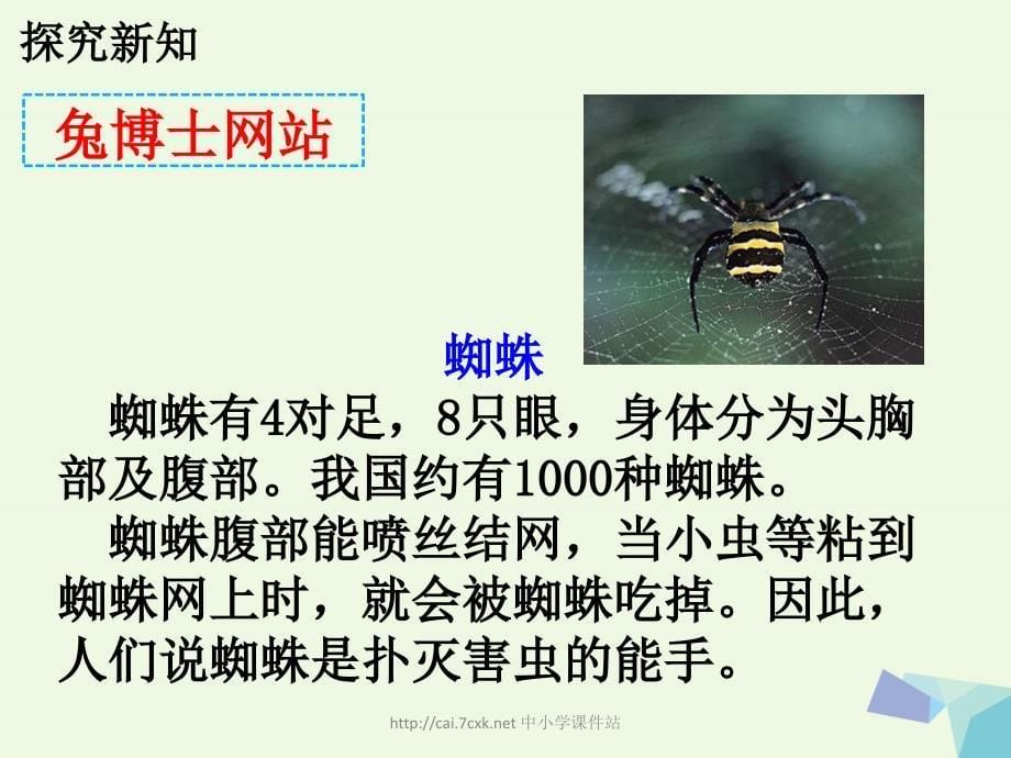 2019年二年级数学上册7.18的乘法口诀教学课件冀教版_第5页