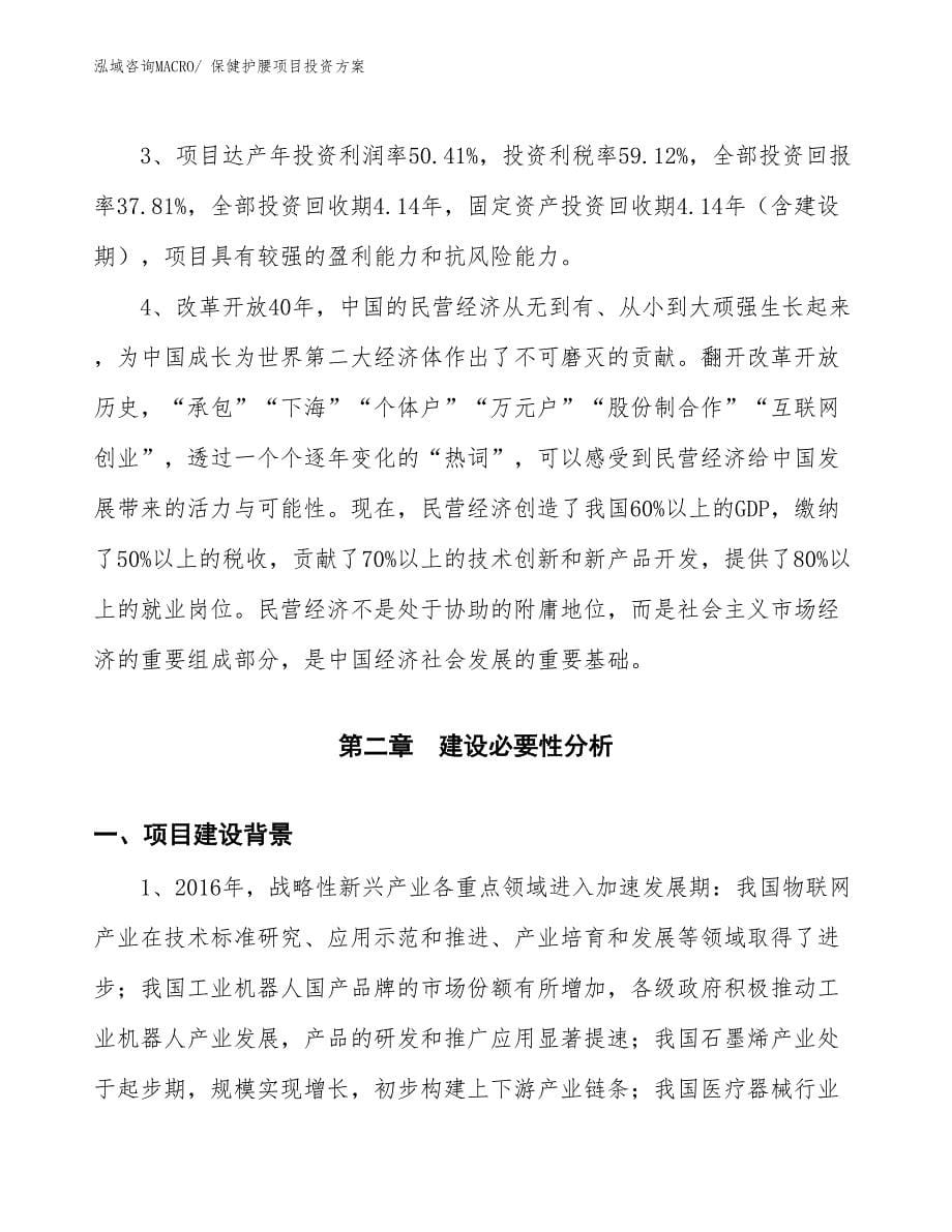 保健护腰项目投资方案_第5页