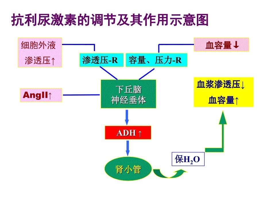 水钠紊乱.ppt_第5页