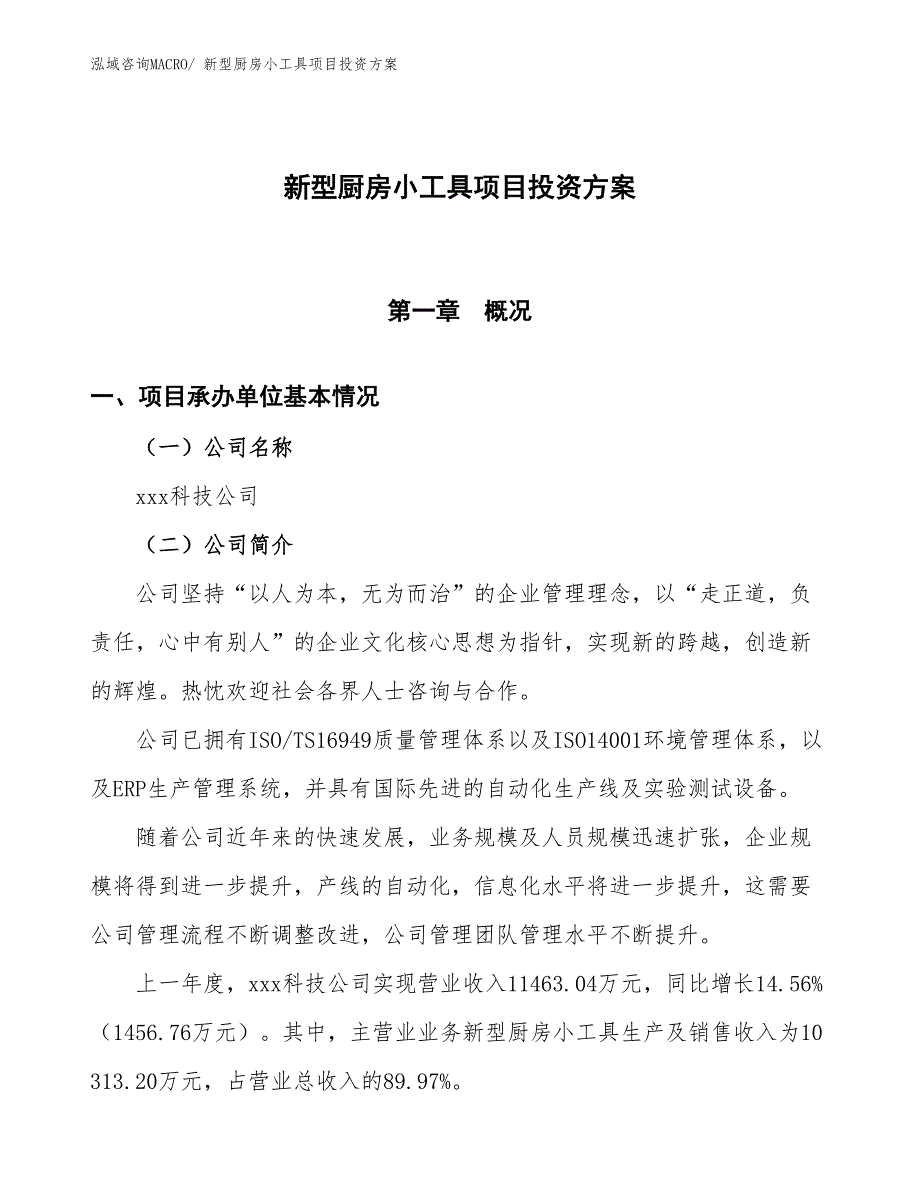 新型厨房小工具项目投资方案_第1页