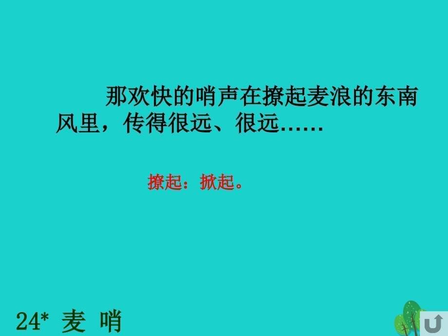 四年级语文下册第6单元24.麦哨课件1新人教版_第5页