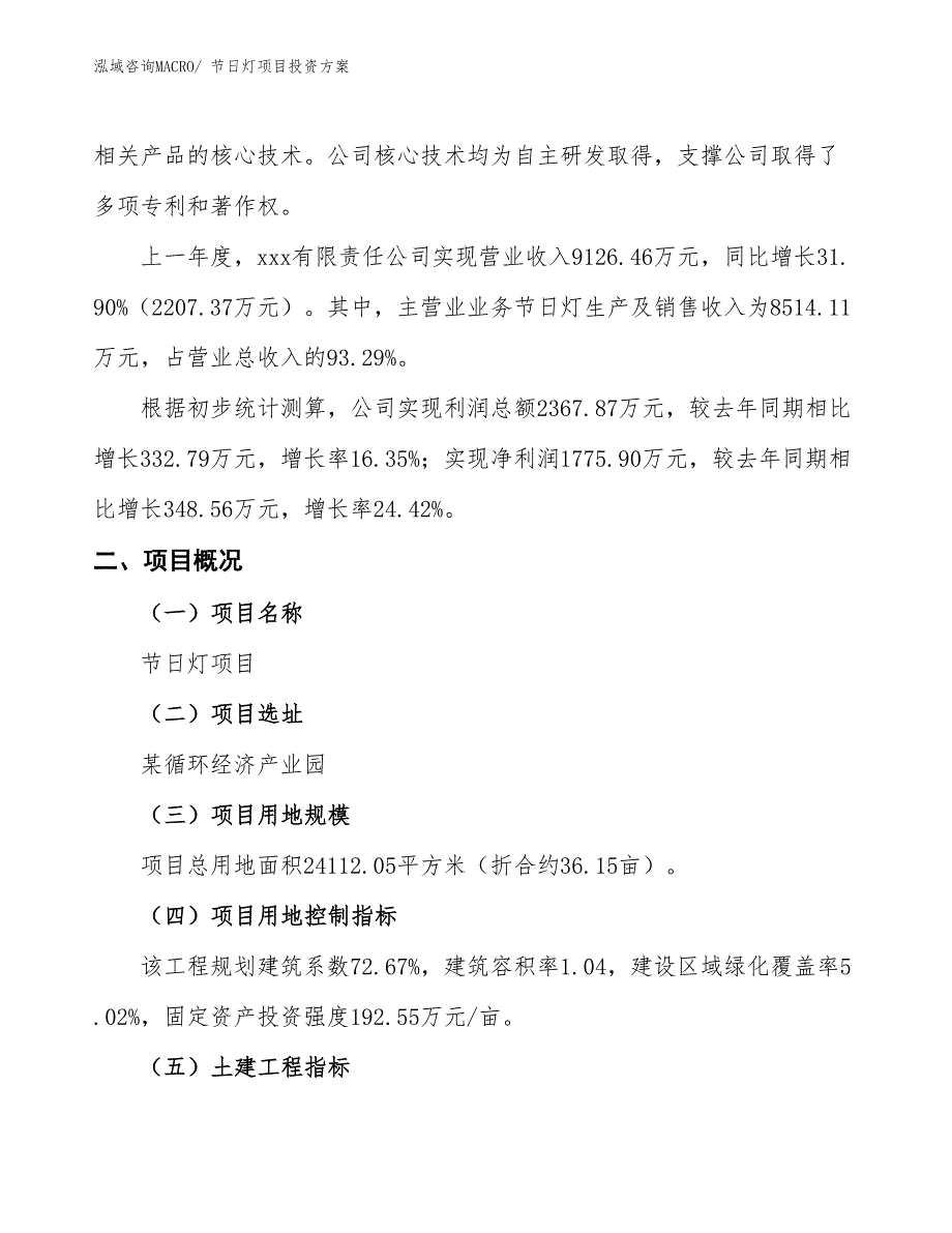 节日灯项目投资方案_第2页