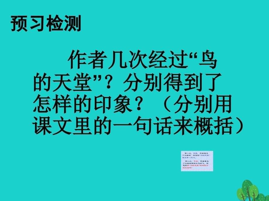 2019年四年级语文上册第1单元3.鸟的天堂课件2新人教版_第5页