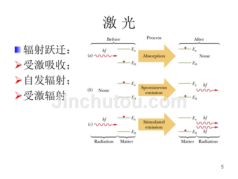 陈家碧PPT.ppt_第5页