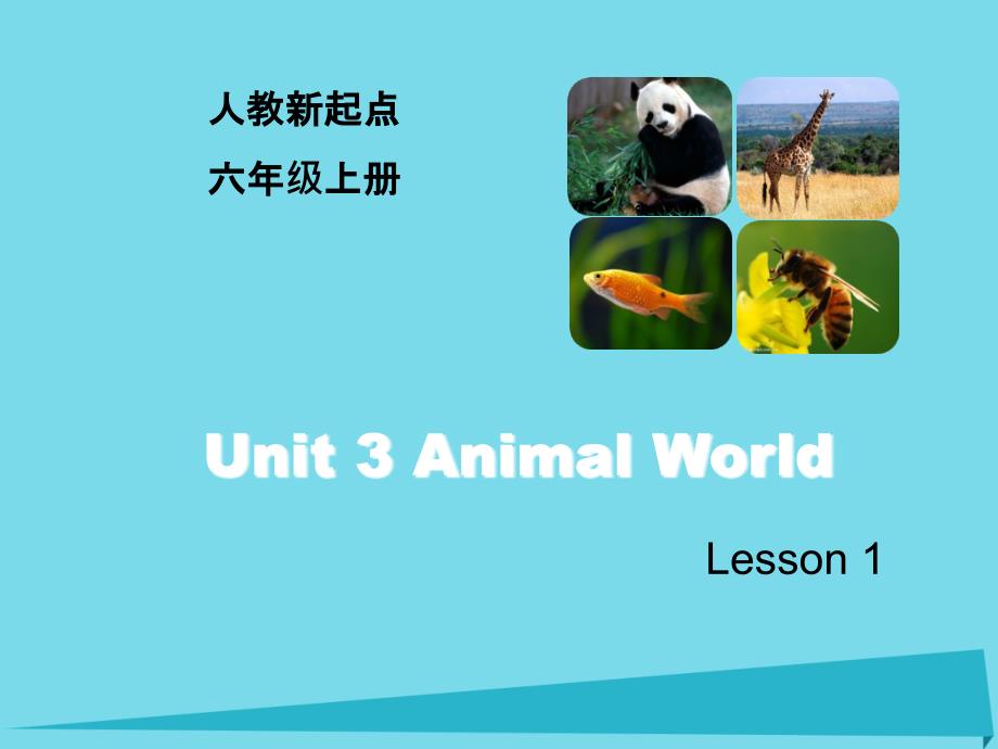 2019六年级英语上册unit3animalworldlesson1课件人教新起点_第1页