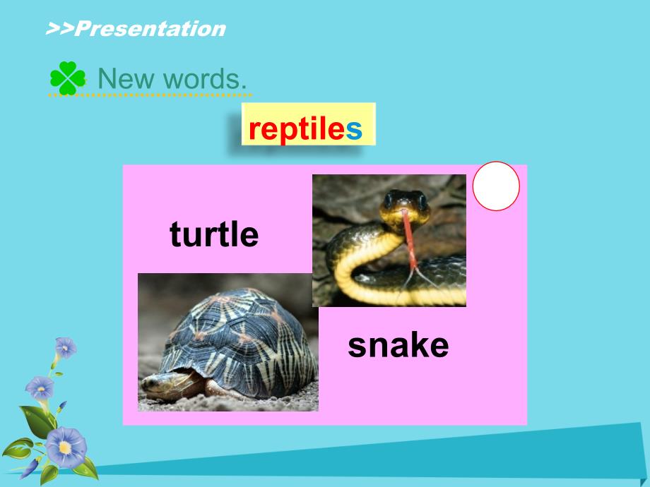 2019六年级英语上册unit3animalworldlesson1课件人教新起点_第4页