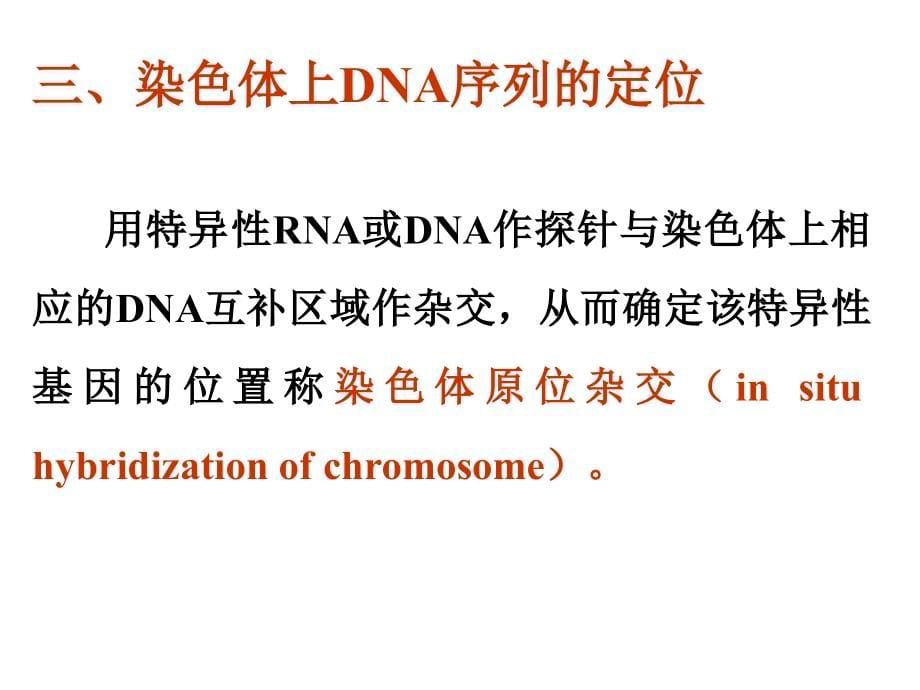 分子遗传学第四章 基因操作.ppt_第5页