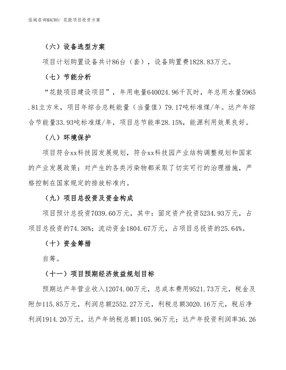 花鼓项目投资方案_第3页