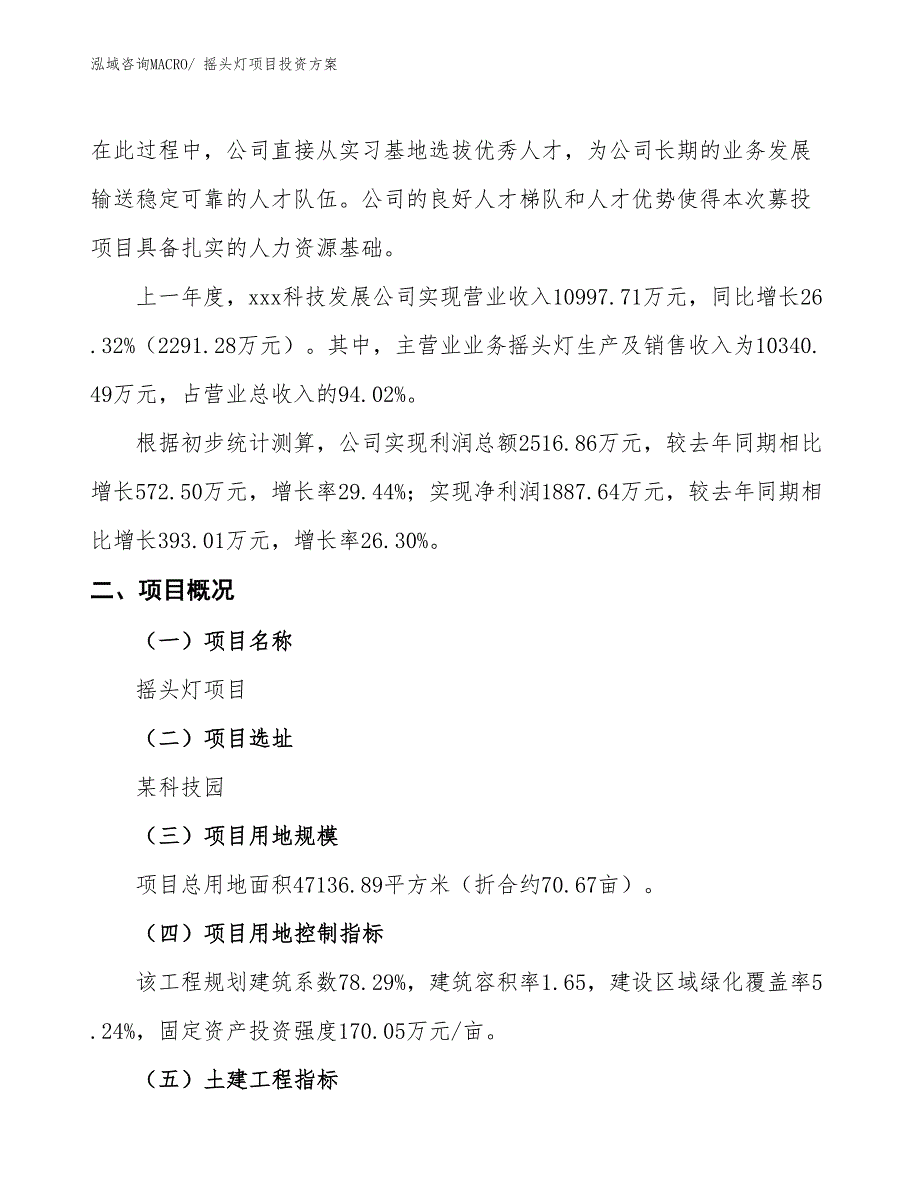 摇头灯项目投资方案_第2页