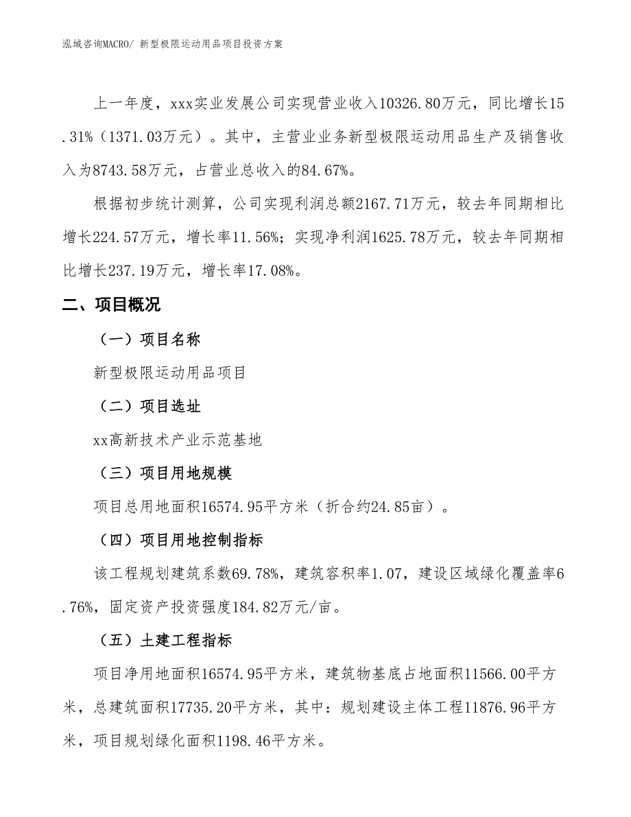 新型极限运动用品项目投资方案_第2页