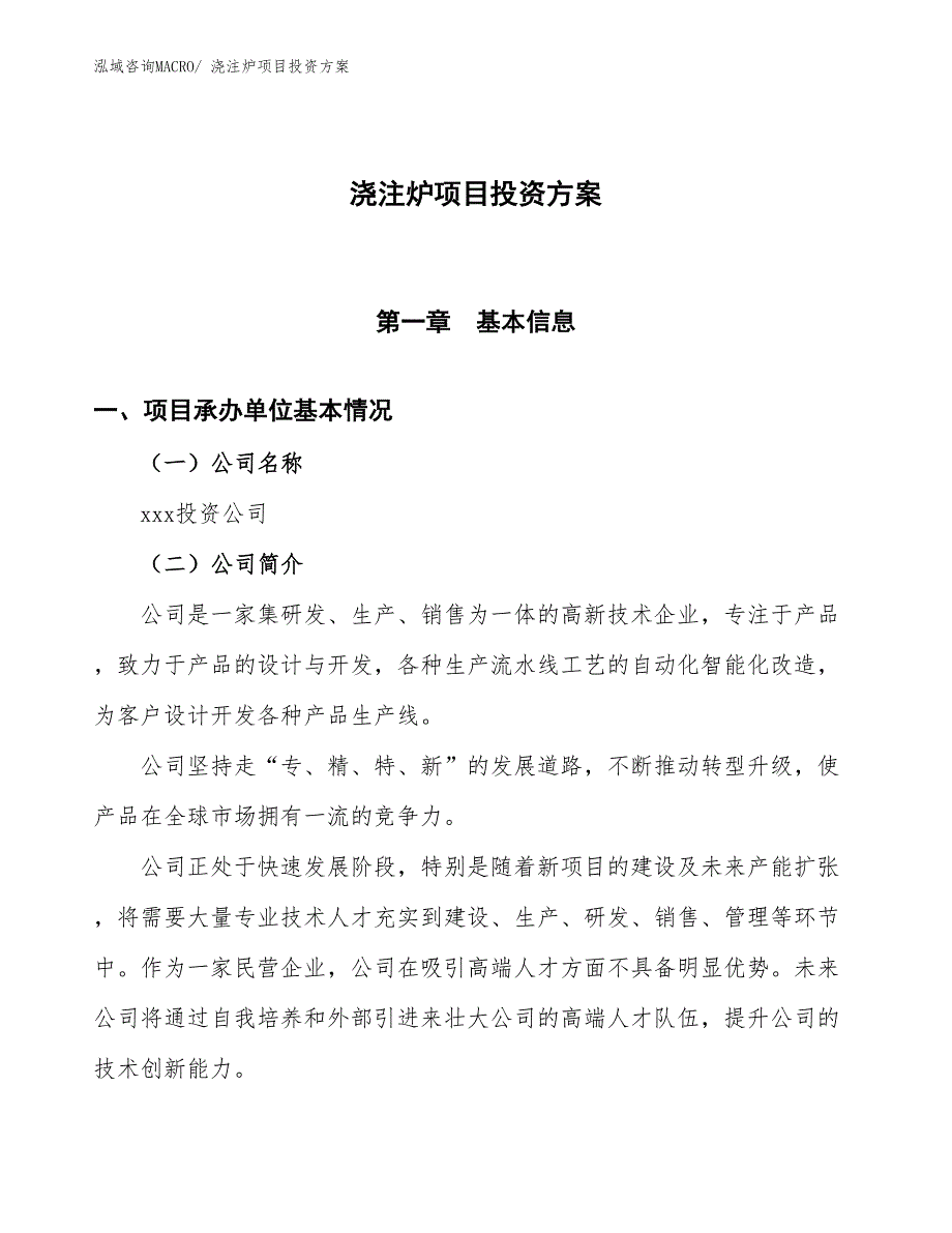 浇注炉项目投资方案_第1页