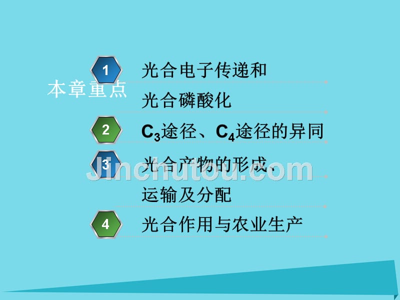 2019六年级科学上册第一章第3课植物的光合作用课件2新人教版_第3页