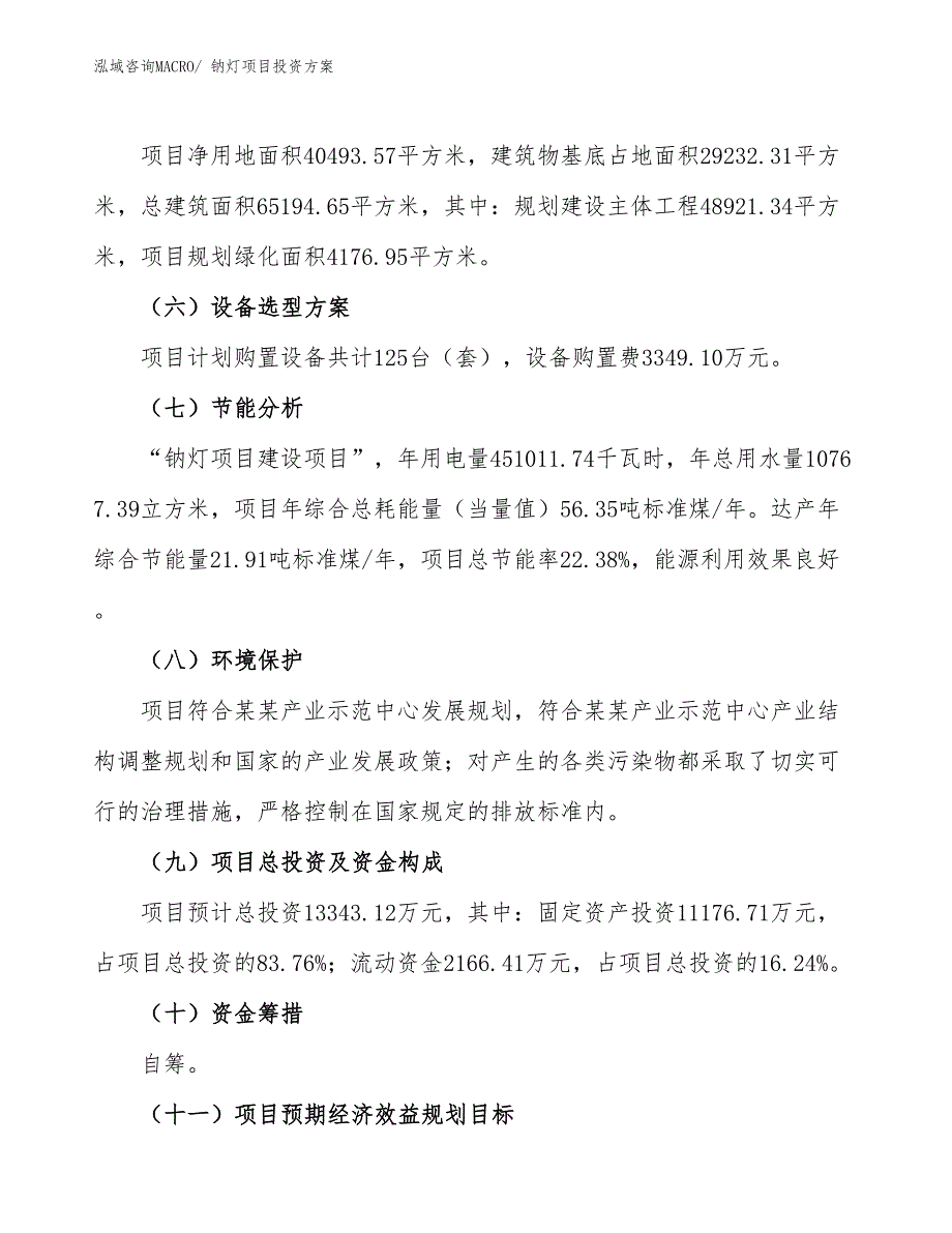 钠灯项目投资方案_第3页