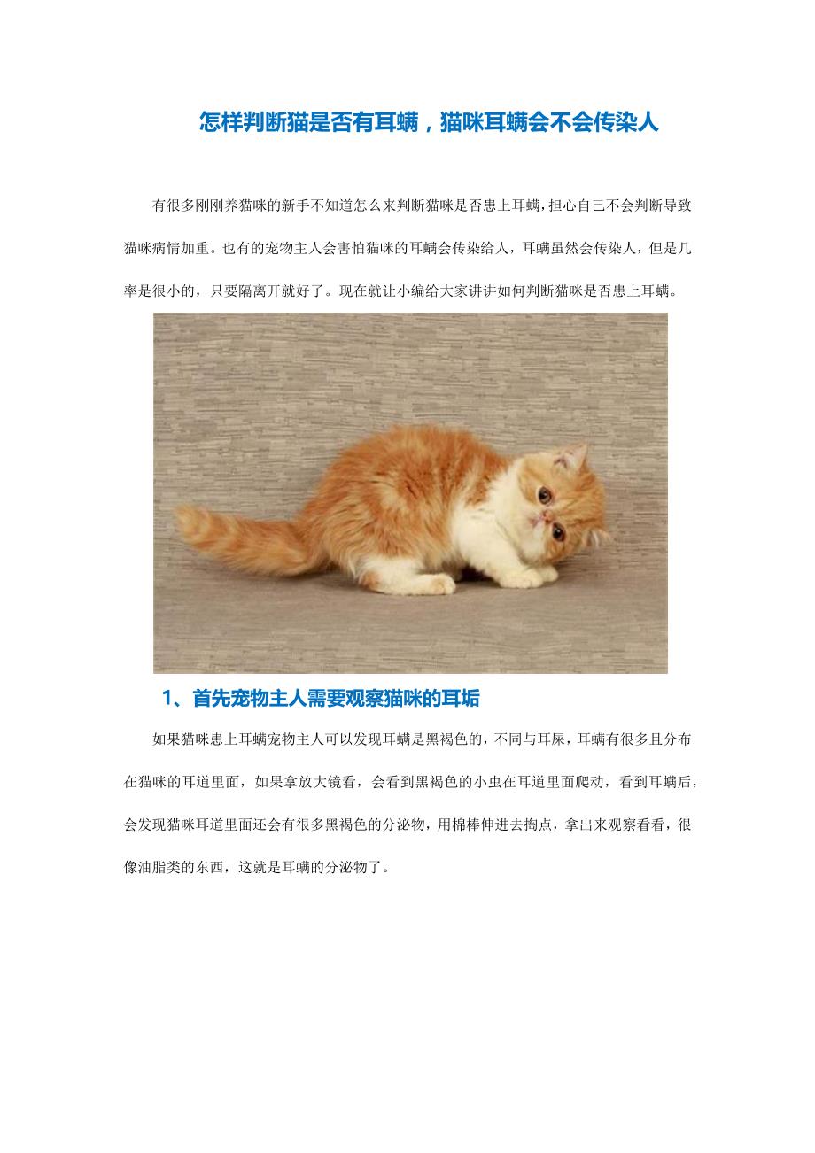 怎样判断猫是否有耳螨猫咪耳螨会不会传染人_第1页