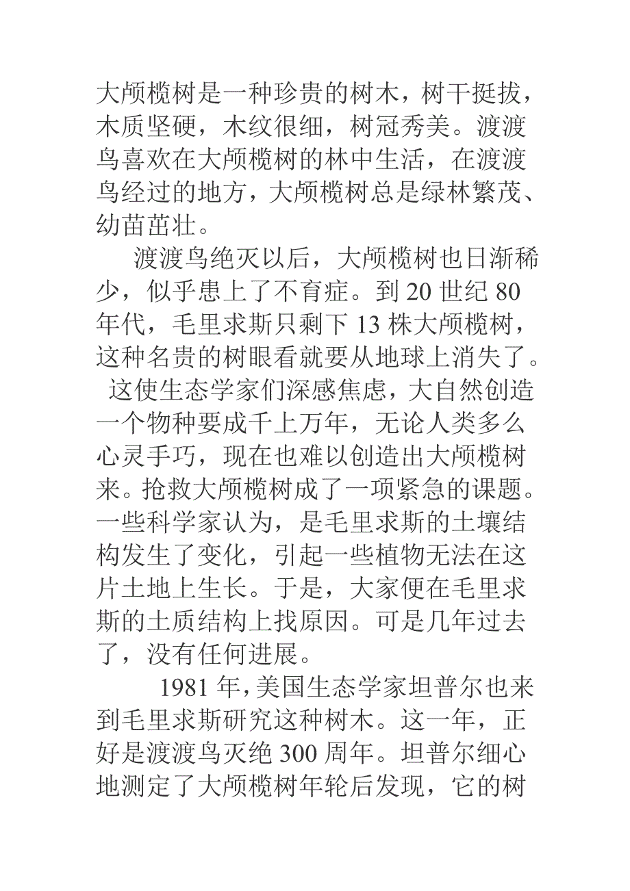大颅榄树是一种珍贵的树木_第1页