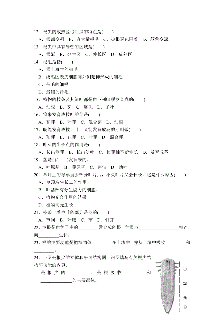 6.2.1 营养器官的生长 课时练 北师大七年上_第2页