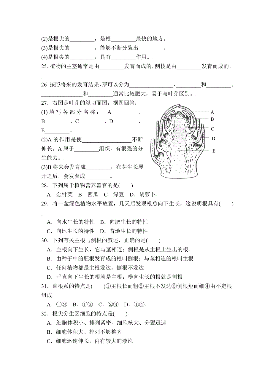 6.2.1 营养器官的生长 课时练 北师大七年上_第3页