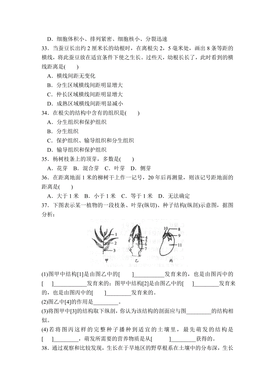 6.2.1 营养器官的生长 课时练 北师大七年上_第4页