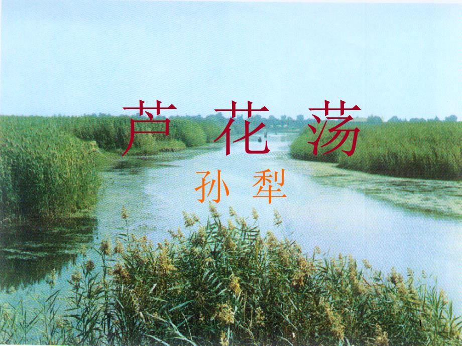 初中语文人教八年级上册第一单元八年级语文上《芦花荡》课件_第1页