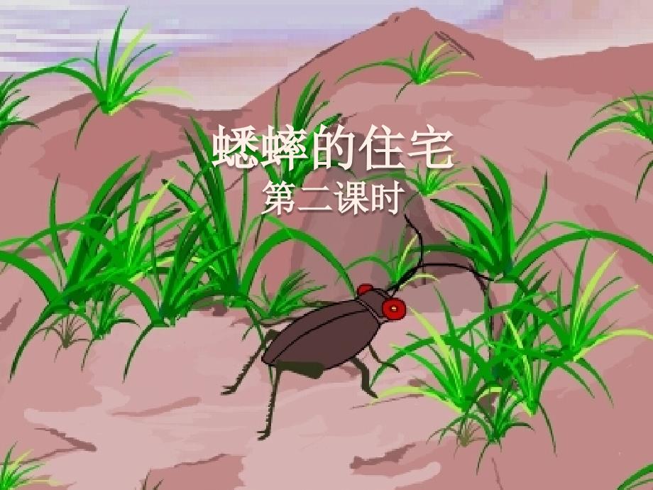 四年级上册语文课件-7 蟋蟀的住宅 第二课时 人教新课标(共13张_第1页