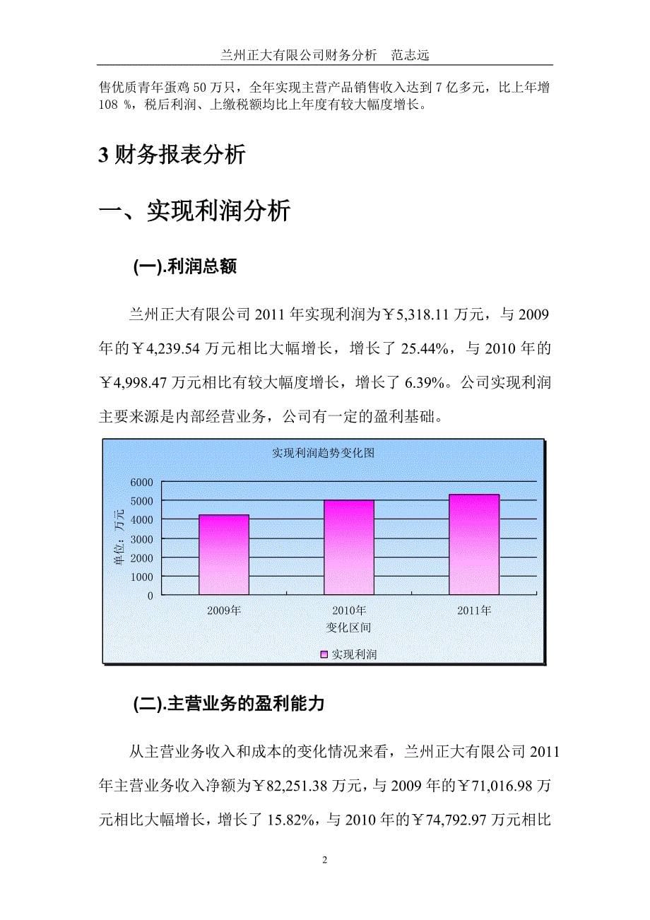 兰州正大有限公司财务分析_第5页