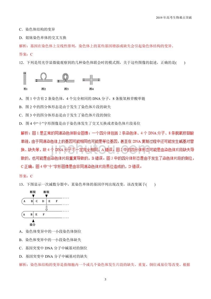 专题22 染色体变异（题型专练）_第5页