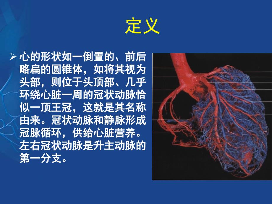 冠状动脉的解剖与冠脉造影 (2)_第2页