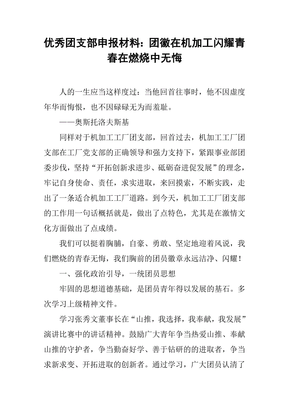 优秀团支部申报材料：团徽在机加工闪耀青春在燃烧中无悔.doc_第1页