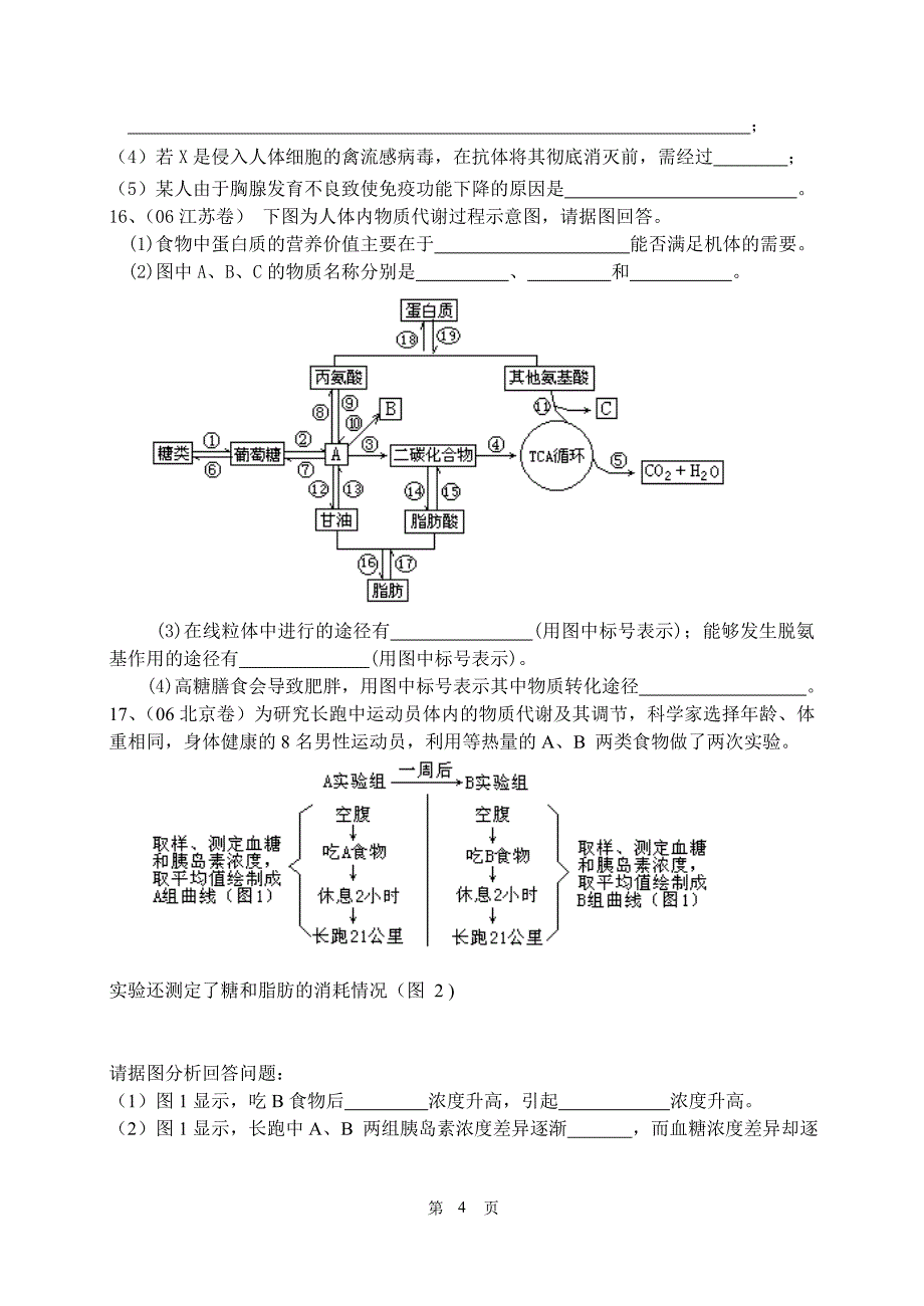 人体代谢.doc_第4页