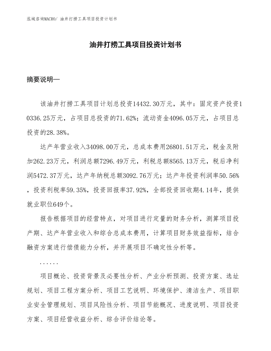 （项目说明）油井打捞工具项目投资计划书_第1页