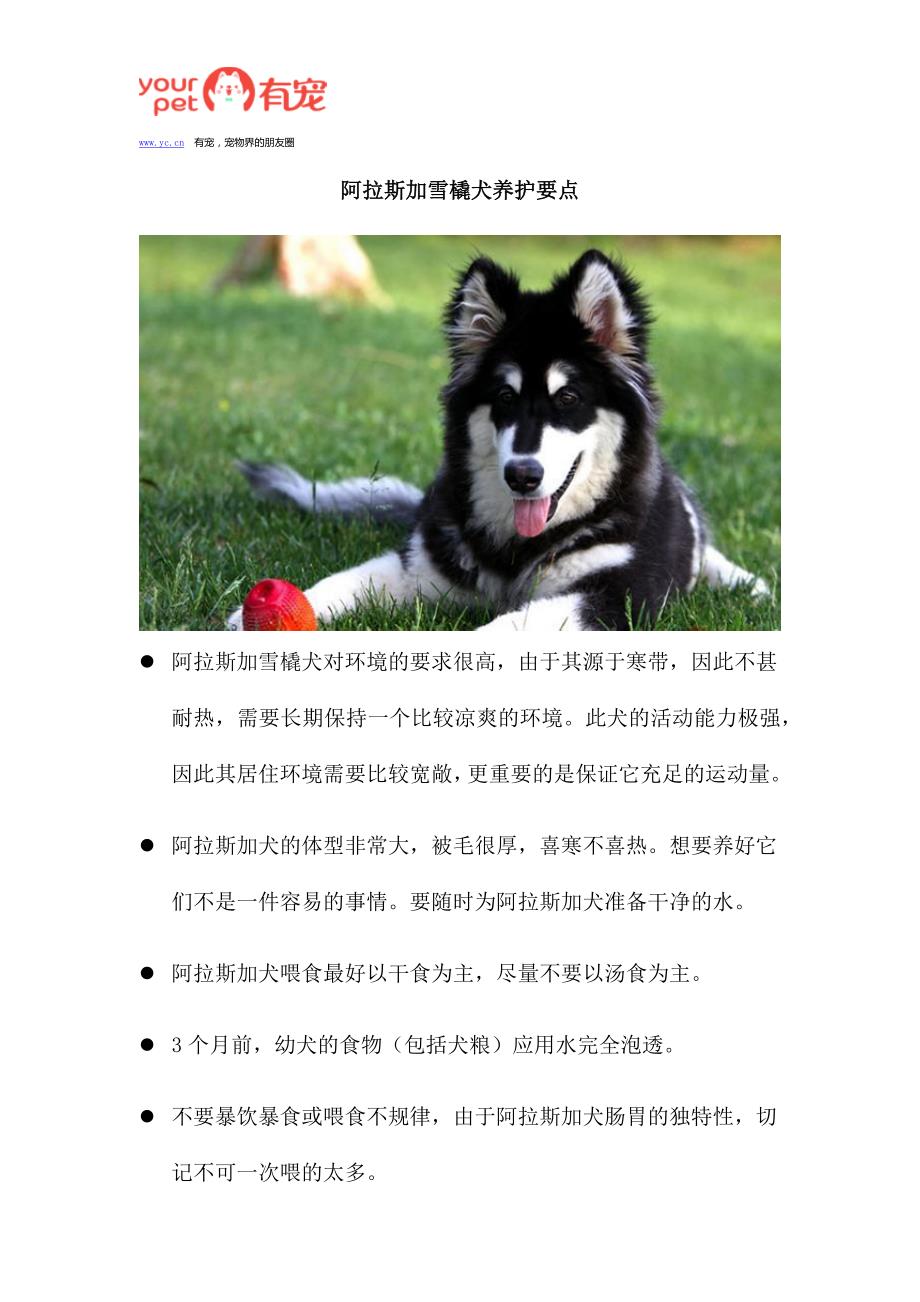 阿拉斯加雪橇犬养护要点_第1页