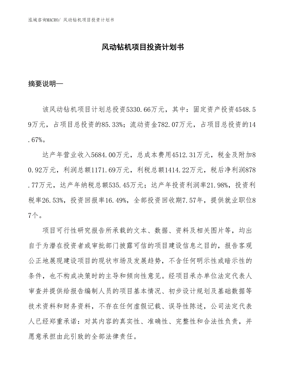 （项目说明）风动钻机项目投资计划书_第1页